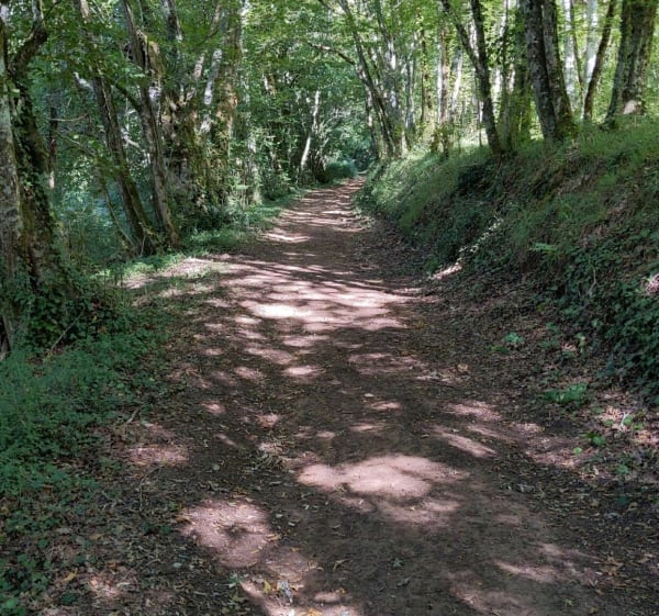 Entre Paunat et Limeuil - Paunat - 1