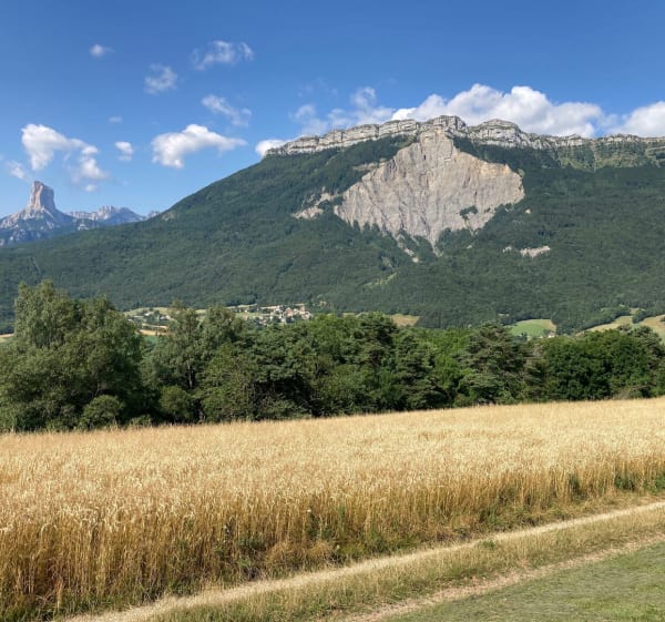Belle vue sur le lac de Monteynard et le Mont Aiguille - Treffort - 1