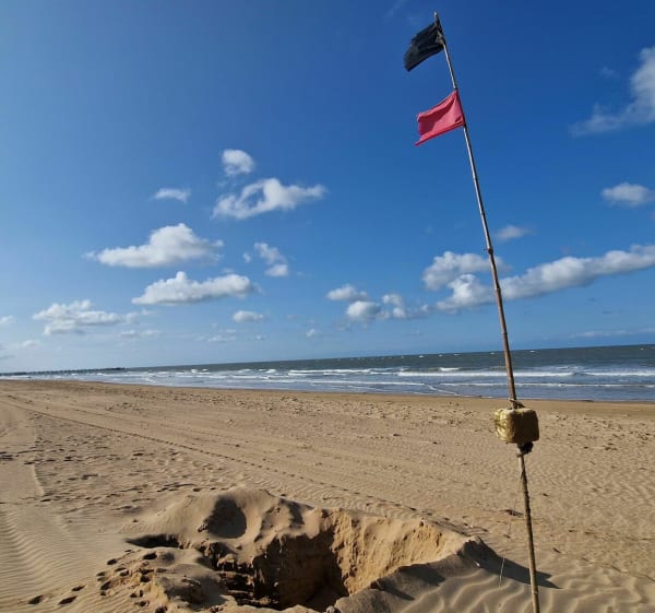Tussen het bos van Pays de Monts en het strand van Davière - Saint-Jean-de-Monts - 1