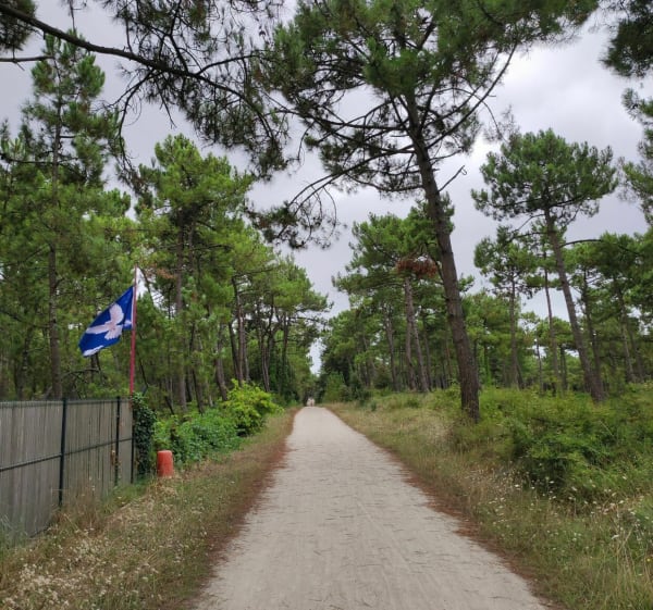 Entre terre et mer à la Faute-sur-Mer - L'Aiguillon-la-Presqu'île - 1