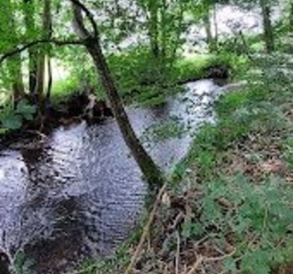 Le Sentier des Bunkers à Burnhaupt le Bas - Burnhaupt-le-Bas - 1