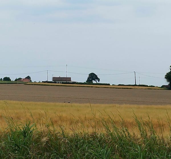 Les Flandres : sa campagne tellement belle - Wormhout - 1