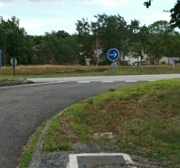 Balade dans les bois de Haye entre Champigneulles et Frouard - Champigneulles - 1