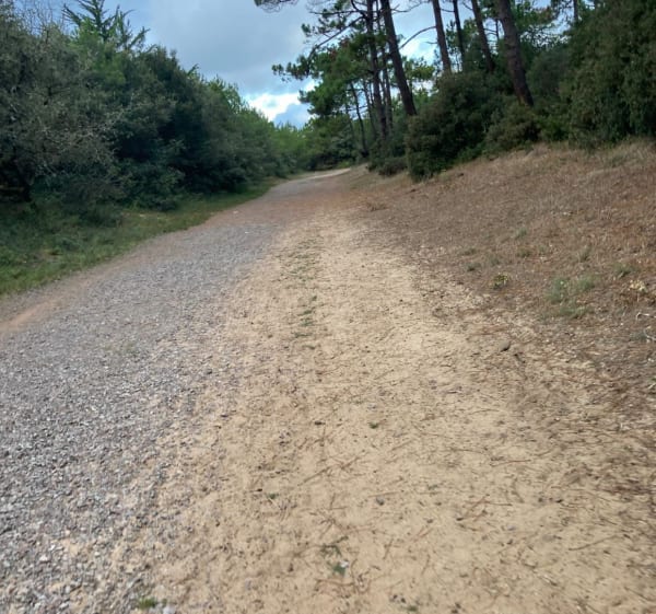 Vue sur l'océan: 2 fois le long de la forêt d'Olonne - Les Sables-d'Olonne - 1
