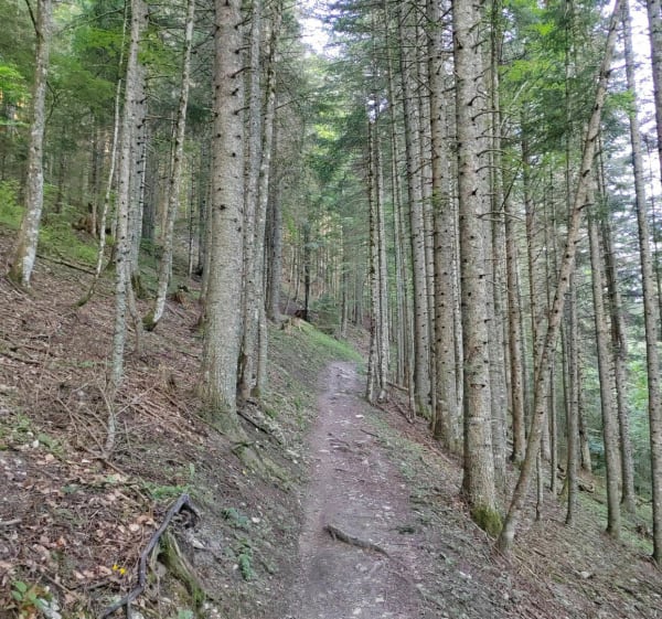 Crête de Charande - Autrans-Méaudre en Vercors - 1