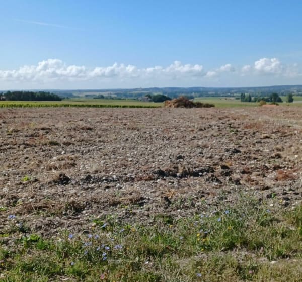 Petite marche autour de Touzac - Bellevigne - 1
