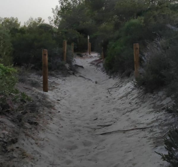 Sa coma via Punta de n' Amer jusqu'à Cala Millor - S'Illot - 1