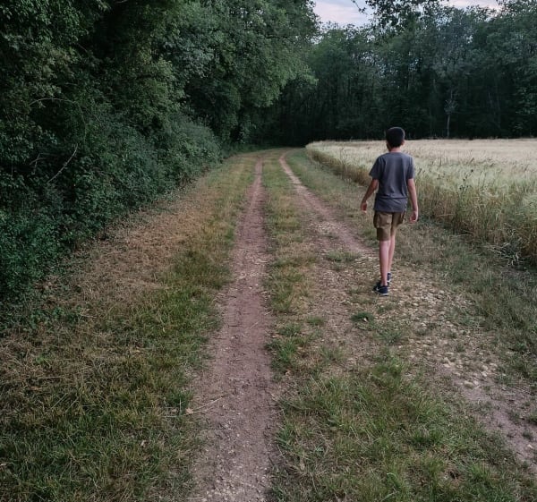 Rando depuis Jardres, dans les bois de Talmont et Sanzelle - Jardres - 1