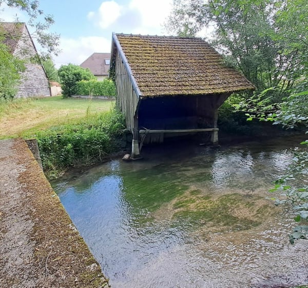 Boucle longeant l'Aube depuis Anglure - Anglure - 1