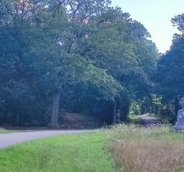 Balade en forêt de Châteauneuf et hameaux du Thymerais - Thimert-Gâtelles - 1