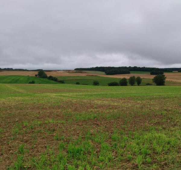La nature à travers 4 villages et ses monuments. - Walincourt-Selvigny - 1