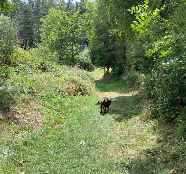 Randonnée à la cascade de Montfermy - Montfermy - 1