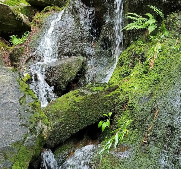 Cascade de la Pissoire depuis le Haut du Tôt - Sapois - 1