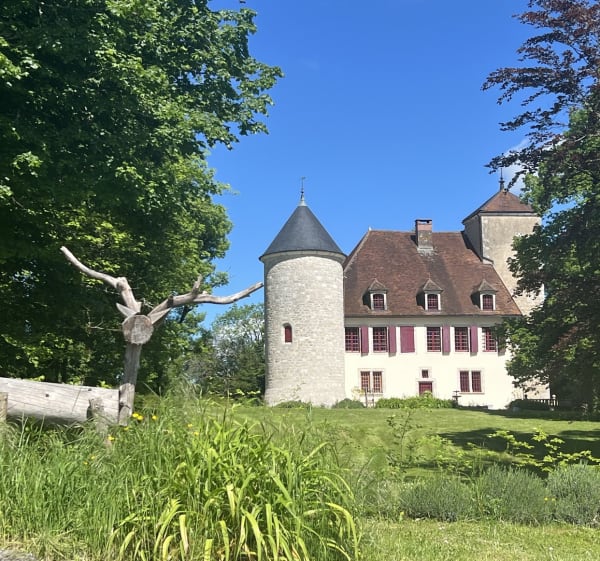 La sirène égarée - Maisod - 1