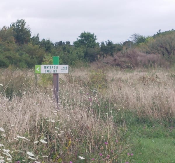 Asnières bucolique, entre chemin et sentes - Bourges - 1