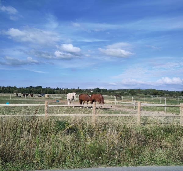 Tour au dessus des marais salants depuis Saint-Michel - Guérande - 1