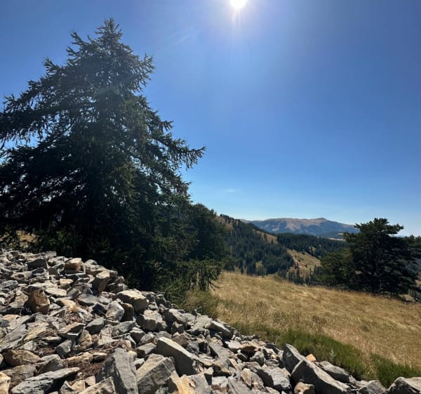 Sentier Yoga de Valberg - Péone - 1