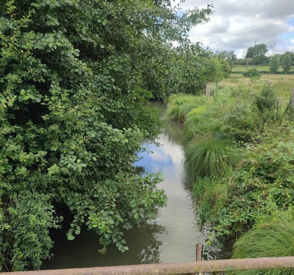 Balade au Bois de Berny - Ailly-sur-Noye - 1