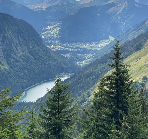 Petite randonnée en Haute-Savoie à travers les myrtilles - Châtel - 1