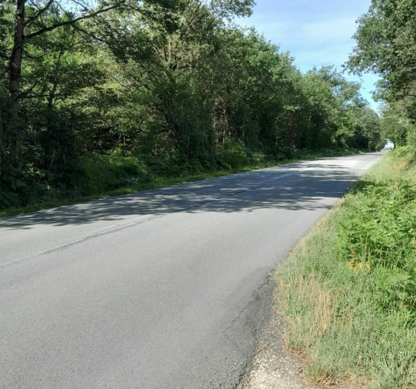 Balade à vélo entre Verrières à Bouresse. - Verrières - 1