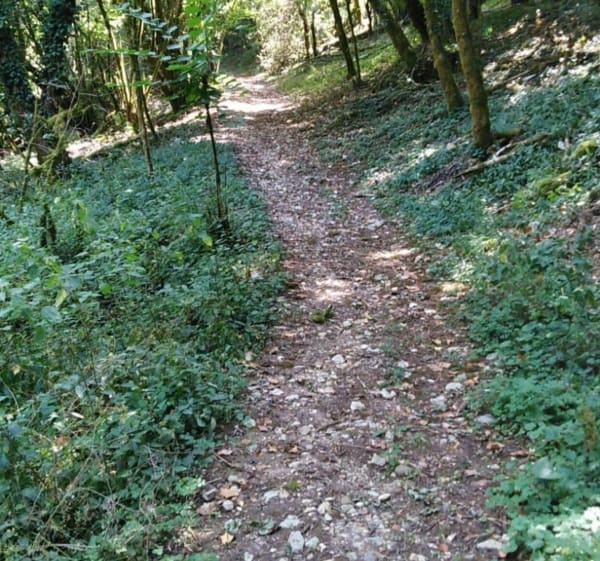 Autour de Nuzéjouls - Nuzéjouls - 1