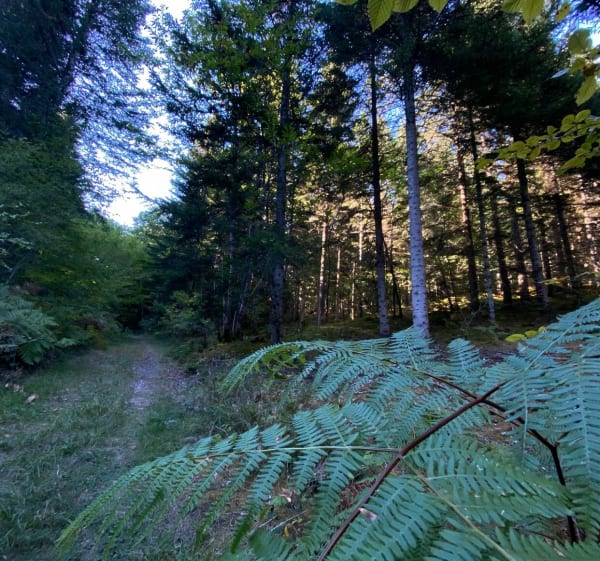 Huttopia VTT Musculaire - Antonne-et-Trigonant - 1