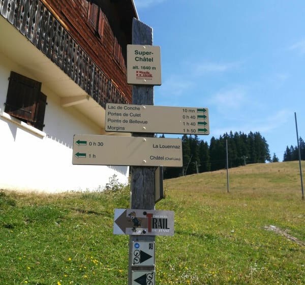 Wandeling op de bergkammen boven de Bassachaux-pas - Châtel - 1