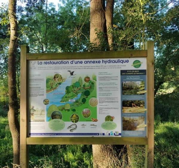 Bocage du Véron - Beaumont-en-Véron - 1