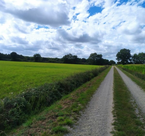 Autour de Froidfond - Froidfond - 1