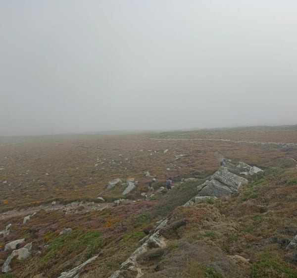 Kaap van de Geitenlus vanuit Saint-Hernot - Crozon - 1