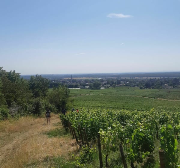 Petite balade à Givry - Givry - 1