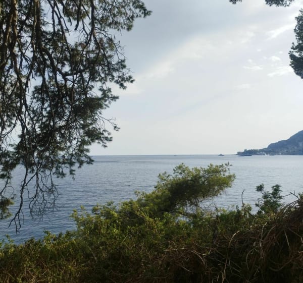Wandeling van Menton naar Roquebrune-Cap-Martin - Menton - 1