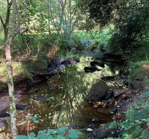 Jolie balade entre vallée du Trévelo et Limerzel - Limerzel - 1