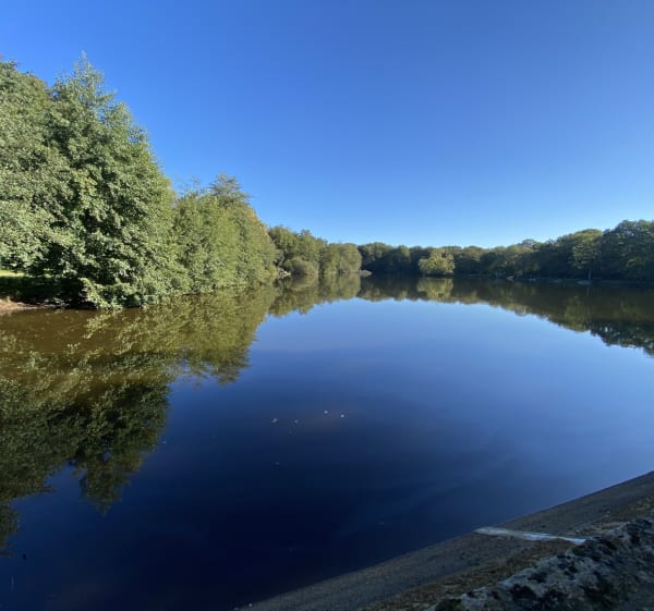 Beau parcours VTT au départ des marais de Saint Herblain - Saint-Herblain - 1