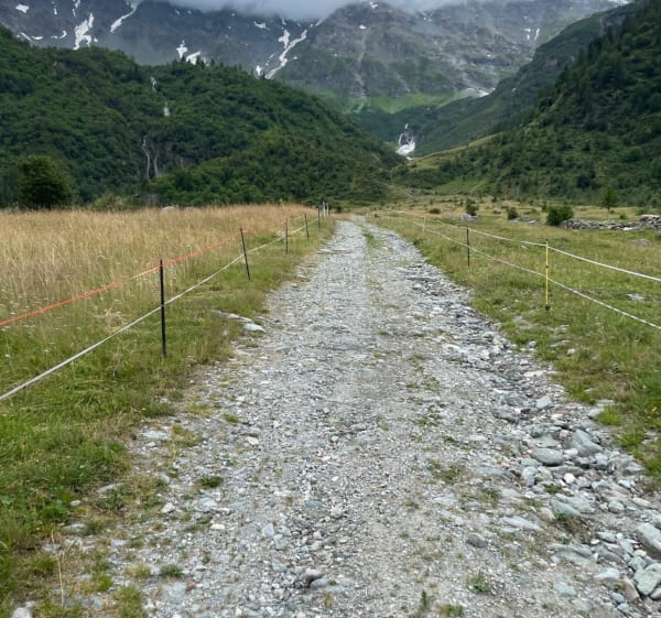 Petite balade au départ des Lanches jusqu’au petit glacier - Peisey-Nancroix - 1