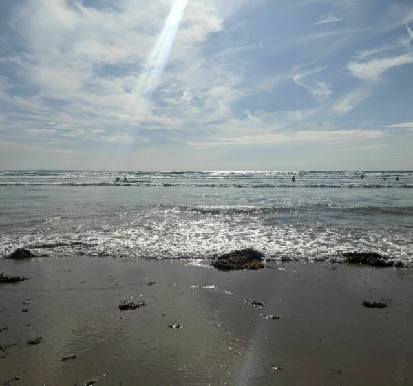Les dunes d'Hatainville dans le Cotentin - Les Moitiers-d'Allonne - 1
