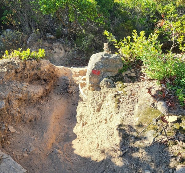 Het Oostenrijkse kruis van Onze Lieve Vrouw van de Serra - Calvi - 1