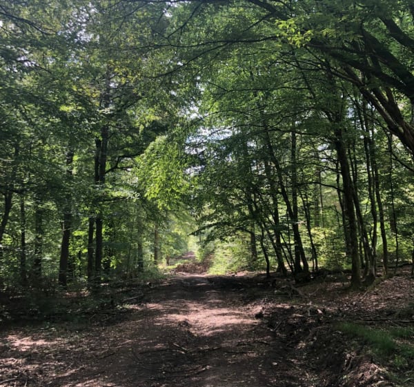 Entre champs, bois et forêts en Centre Mosellan - Bistroff - 1