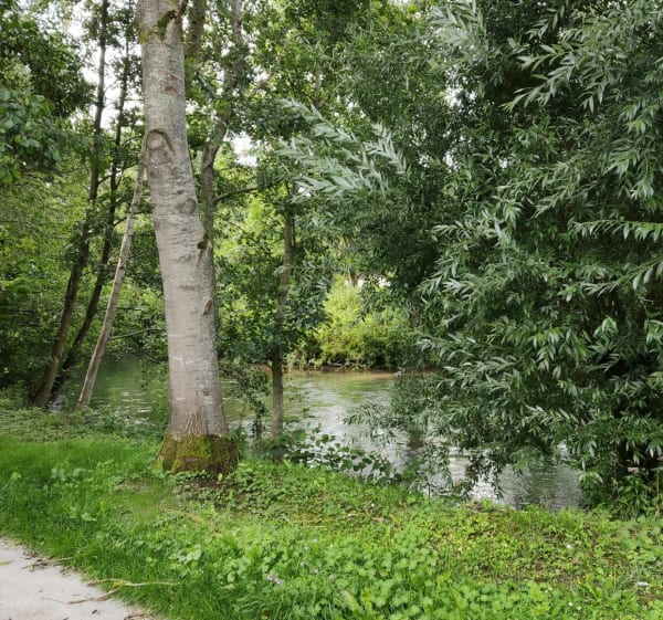 Voie douce entre Esquerdes et Lumbres - Hallines - 1