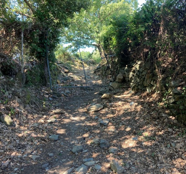Sentier pierre et eau à Murato Soprano - Murato - 1
