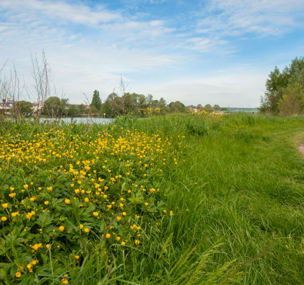 Le VTC des bords de Seine à Vernon - Vernon - 1