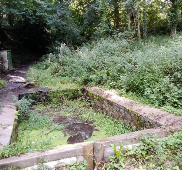 Wandelen rond Cap Fréhel - Plévenon - 1