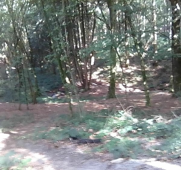 Grotte de l'Ermitage dans le massif de la Serre - Moissey - 1