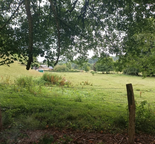 Notre-Dame-Du-Parc et château de Longueville-Sur-Scie - Notre-Dame-du-Parc - 1