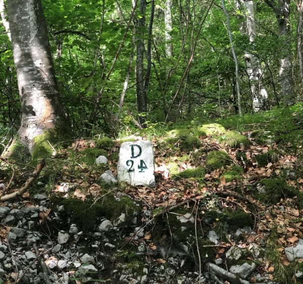 La baraque forestière du Manival - Saint-Ismier - 1