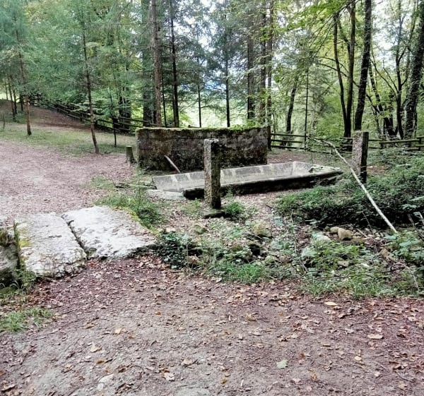 À la découverte de la cascade d'Eilloux - Corbonod - 1