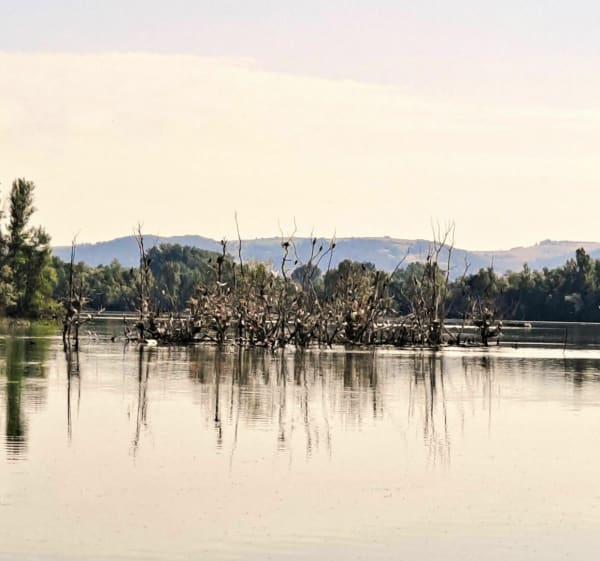 Randonnée VTT facile spéciale rivières Loire, Coise, Volvon - Veauche - 1