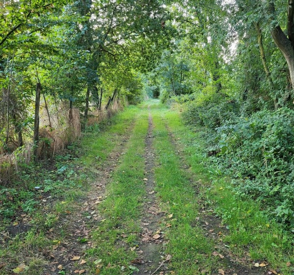 Balade autour de Sainte-Gemmes-sur-Loire - Sainte-Gemmes-sur-Loire - 1