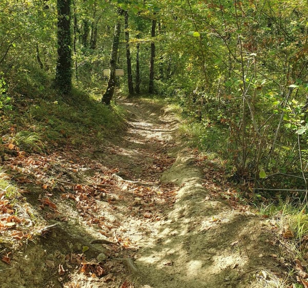 Entre coteaux et rivière du Tarn - Villemur-sur-Tarn - 1