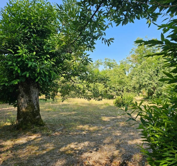 Sortie tranquille par La Grange de Barruol - Michael - 1